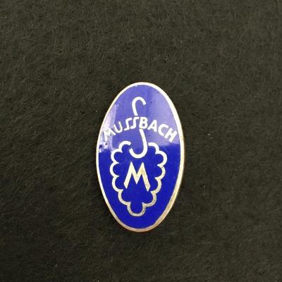 Early 1900s enameled MS pin