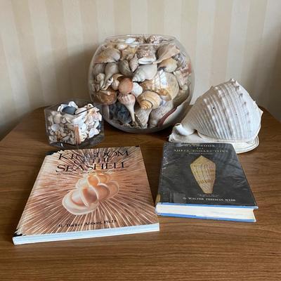 LOT 90F: Seashell Collection & Books about Collecting Seashells