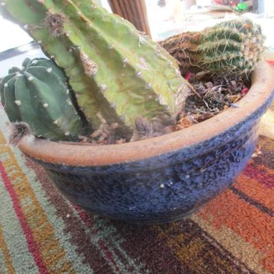 Ceramic Pottery Planters Watermelon