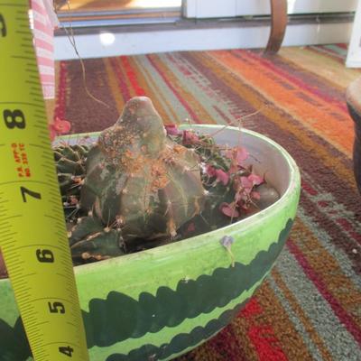 Ceramic Pottery Planters Watermelon