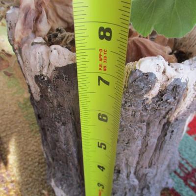 Resin Solar Light Mushroom & Gnome Planter