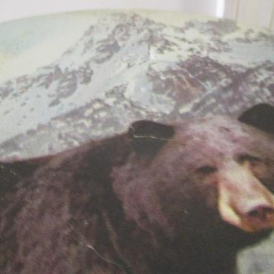 Approx 12" x 18" Black Bear Metal Plant Stand