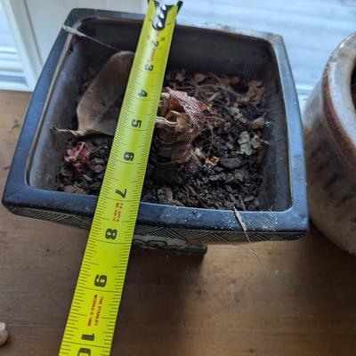 Pair Of Ceramic Planters