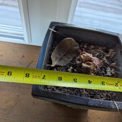 Pair Of Ceramic Planters