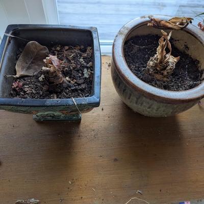 Pair Of Ceramic Planters