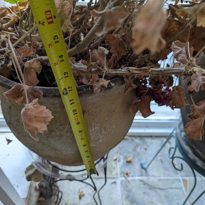Large Plastic Pots With Stands & Plants/Trees