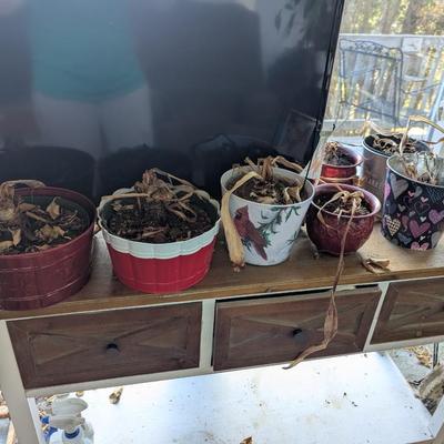 Metal Plant Containers