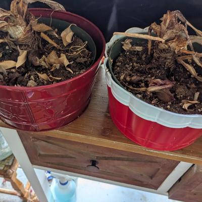 Metal Plant Containers