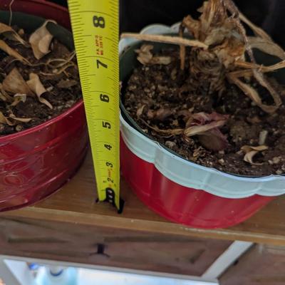 Metal Plant Containers