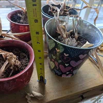 Metal Plant Containers