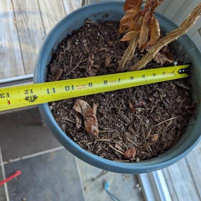 Large Plastic Pots With Stands