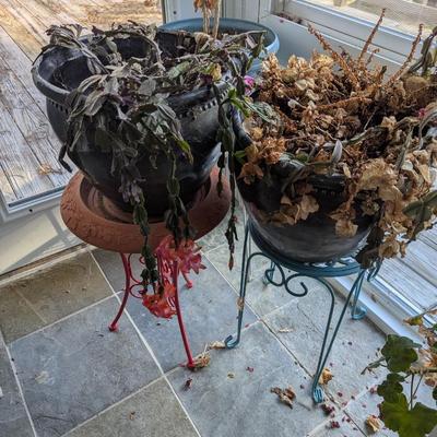 Large Plastic Pots With Stands