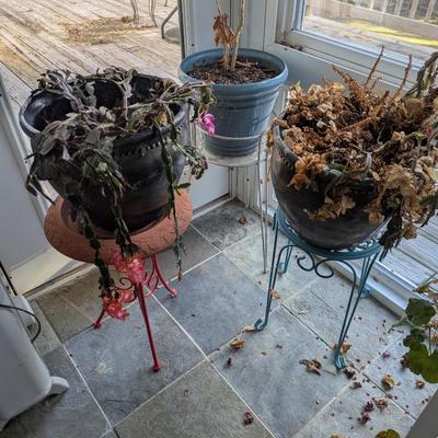 Large Plastic Pots With Stands