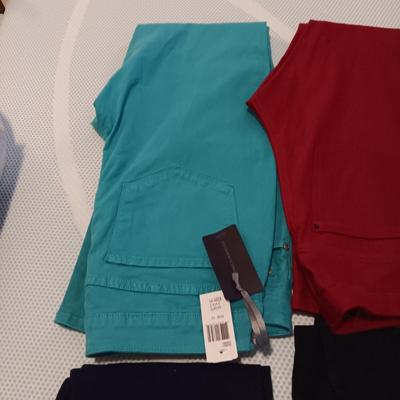 LADIES SLACKS SIZE L & 12