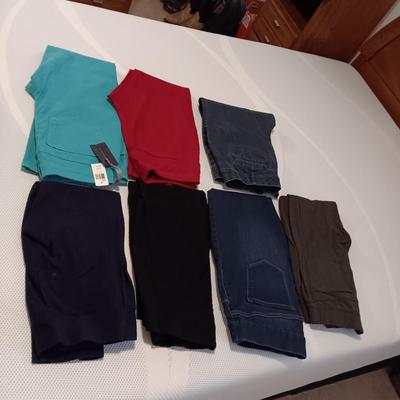 LADIES SLACKS SIZE L & 12