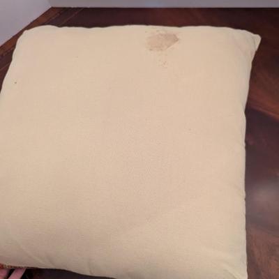 Assortment Of Throw Pillows (see all pictures)