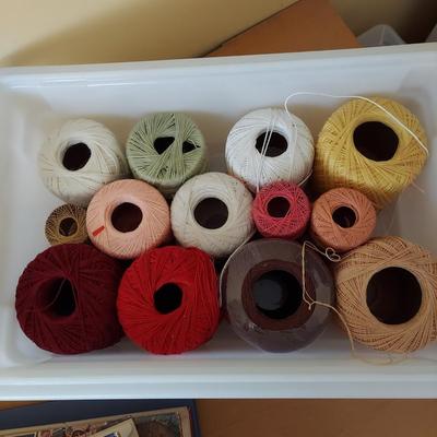 Needlecraft Books w/ Crochet and Embroidery Supplies (B2-BBL)
