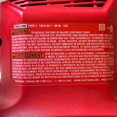 LOT 4G: Craftsman Electric Chainsaw, Homelite Electric Blower/Vac & Craftsman Bushwacker