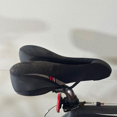 LOT 6G: 21” Fuji Silhouette Bicycle