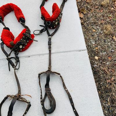 LOT 629: Assortment of Horse Tack Including Bits, Reins and More and a Leather Saddle Bag