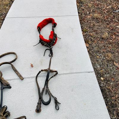 LOT 629: Assortment of Horse Tack Including Bits, Reins and More and a Leather Saddle Bag