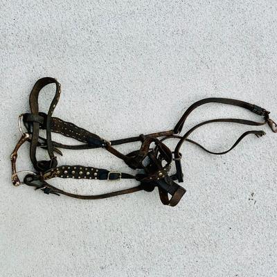 LOT 630: Assortment of Horse Tack Including Bits, Reins and More and a Leather Saddle Bag