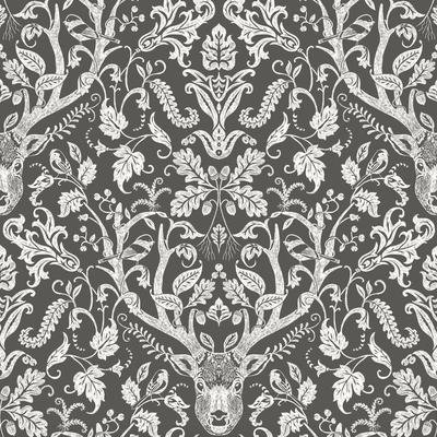 Brewster Home Fashions Chesapeake Birch & Sparrow 3118-12704 Brown Wallpaper