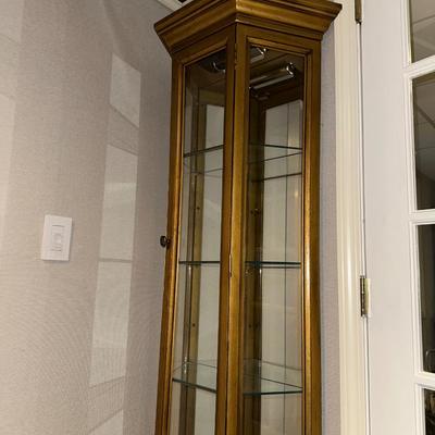 NARROW LIGHTED CURIO CABINET W/MIRRORED BACK