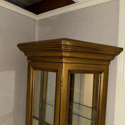 NARROW LIGHTED CURIO CABINET W/MIRRORED BACK