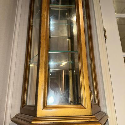 NARROW LIGHTED CURIO CABINET W/MIRRORED BACK