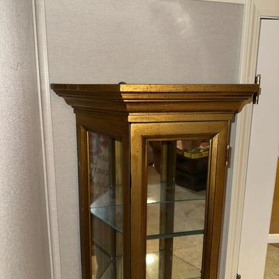 NARROW LIGHTED CURIO CABINET W/MIRRORED BACK