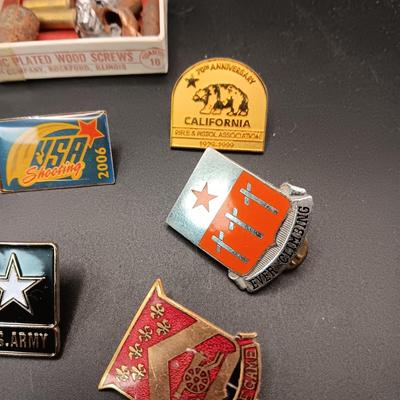 VARIOUS PINS INCLUDING A SWASTIKA AND SOME FIRED BULLETS??