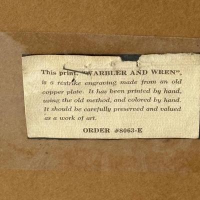 Hand Printed & Colored “Warbler & Wren” Restrike Engraving (LR-ES)