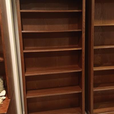 NICE BOOKCASE WITH ADJUSTABLE SHELVES (1)
