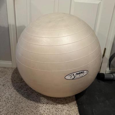 SCHWINN ERGONOMIC STATIONARY EXERCISE BIKE PLUS HAND WEIGHTS AND BALL