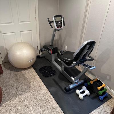 SCHWINN ERGONOMIC STATIONARY EXERCISE BIKE PLUS HAND WEIGHTS AND BALL