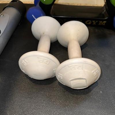 SCHWINN ERGONOMIC STATIONARY EXERCISE BIKE PLUS HAND WEIGHTS AND BALL