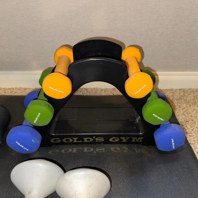 SCHWINN ERGONOMIC STATIONARY EXERCISE BIKE PLUS HAND WEIGHTS AND BALL