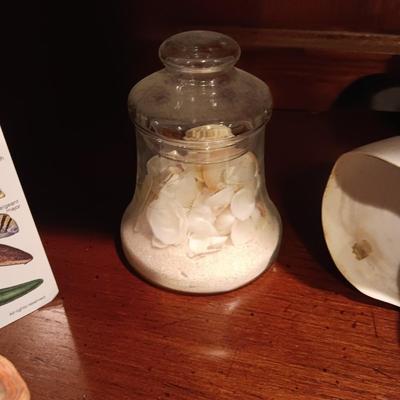 SEASHELLS, GLASS FISH AND MORE
