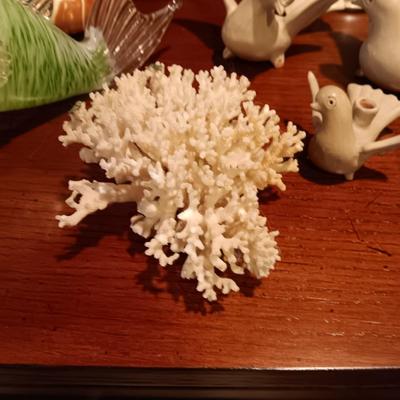 SEASHELLS, GLASS FISH AND MORE