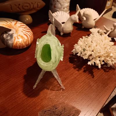 SEASHELLS, GLASS FISH AND MORE