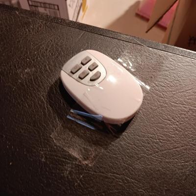 EDEN PURE HEATER ON WHEELS WITH A REMOTE