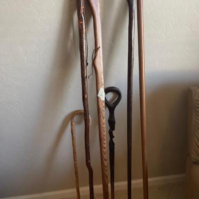 Walking Sticks