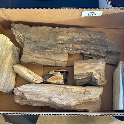 Box of various Petrified Wood Pieces