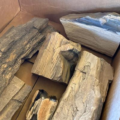 Box of various Petrified Wood Pieces