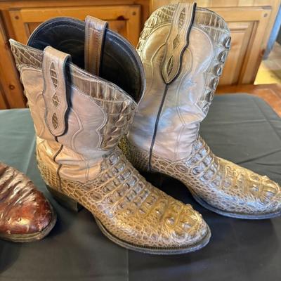 2 Pairs of Mens Cowboy Boots - Ostrich & Gator?