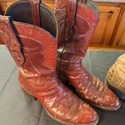 2 Pairs of Mens Cowboy Boots - Ostrich & Gator?