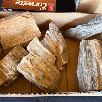 Box of 6 large pieces of Petrified Wood