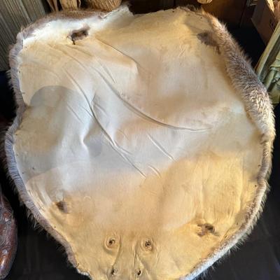 1 Beaver Pelt