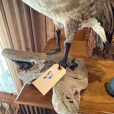 Standing Canada Goose mount on wood base